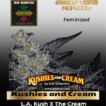 Kushies and Cream (feminized) - Irie Genetics