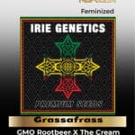 Grassafrass (feminized) - Irie Genetics