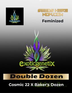 Double Dozen (Feminized) (Space) Exotic Genetix – Double Dozen (Feminized) (space) Exotic Genetix