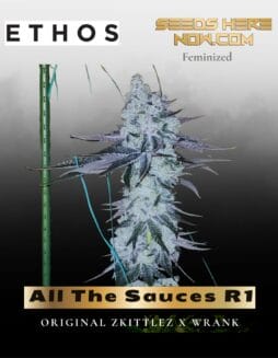 All The Sauces R1 (Feminized) (space) Ethos Genetics