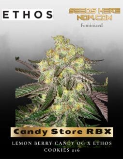 Candy Store RBX (Feminized) (space) Ethos Genetics