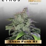 Chem Funk R1 (Feminized) - Ethos Genetics