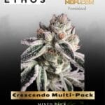 Crescendo Multi-Pack (Feminized) - Ethos Genetics