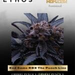 End Game RBX The Punch Line (Feminized) - Ethos Genetics