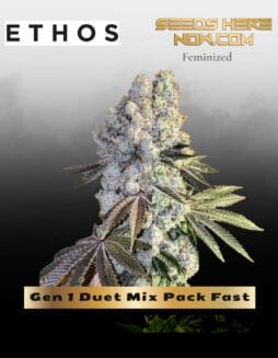 Gen 1 Duet Mix Pack Fast (Feminized) (space) Ethos Genetics