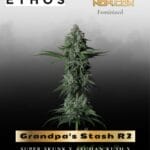 Grandpa's Stash R2 (Feminized) - Ethos Genetics