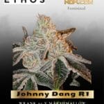 Johnny Dang R1 (Feminized) - Ethos Genetics
