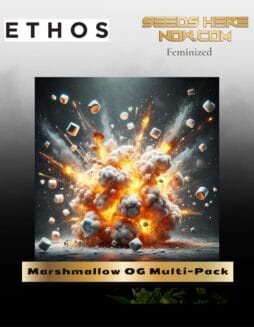 Marshmallow OG Multi(space)Pack (Feminized) (space) Ethos Genetics