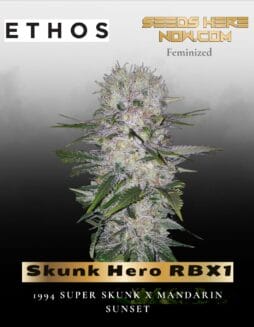Skunk Hero RBX1 (Feminized) (space) Ethos Genetics
