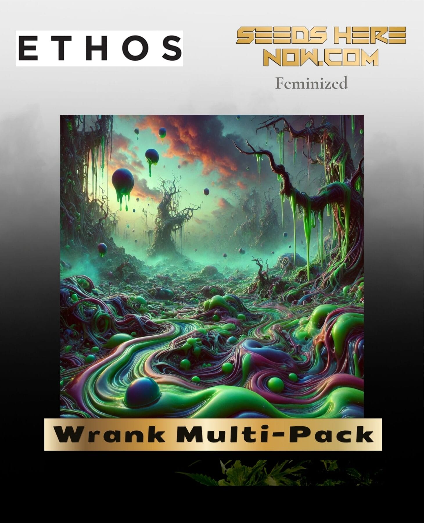Wrank Multi-Pack (Feminized) - Ethos Genetics