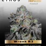 Wrank R2 (Feminized) - Ethos Genetics