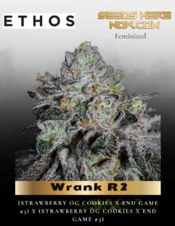 Wrank R2 (Feminized) (space) Ethos Genetics