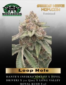 Loop Hole (Feminized) (space) Mosca Seeds