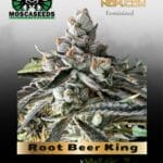 Root Beer King (Feminized) - Mosca Seeds