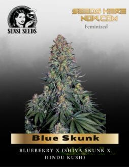 Blue Skunk (Feminized) (space) Sensi Seeds