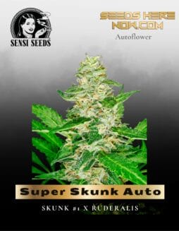 Super Skunk Auto (Feminized) (space) Sensi Seeds