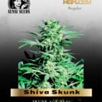 Shiva Skunk (Regular) - Sensi Seeds