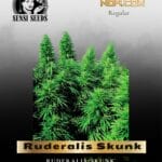 Ruderalis Skunk (Regular) - Sensi Seeds