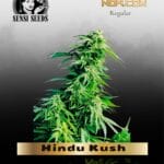 Hindu Kush (Regular) - Sensi Seeds
