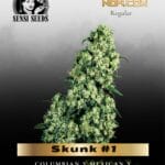 Skunk #1 (Regular) - Sensi Seeds