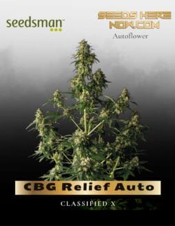CBG Relief Auto (Feminized) (space) Seedsman