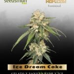Ice Dream Cake (Feminized) - Seedsman