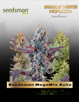 Seedsman MegaMix Auto (Feminized) (space) Seedsman