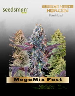 MegaMix Fast (Feminized) (space) Seedsman