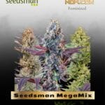 Seedsman MegaMix (Feminized) - Seedsman