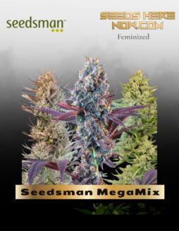 Seedsman MegaMix (Feminized) (space) Seedsman