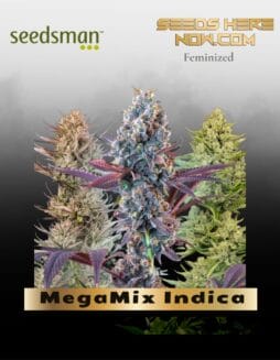 MegaMix Indica (Feminized) (space) Seedsman