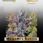 MegaMix Sativa (Feminized) - Seedsman