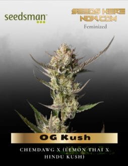OG Kush (Feminized) (space) Seedsman