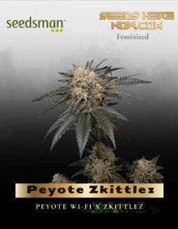 Peyote Zkittlez (Feminized) (space) Seedsman