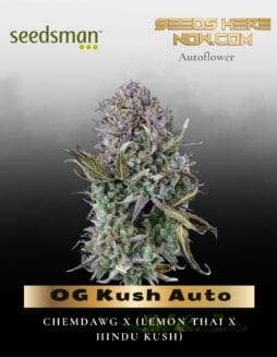 OG Kush Auto (Feminized) (space) Seedsman