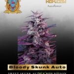 Bloody Skunk Auto (Feminized) - Sweet Seeds