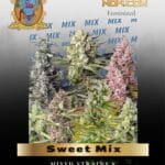 Sweet Mix (Feminized) - Sweet Seeds