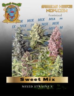 Sweet Mix (Feminized) (space) Sweet Seeds