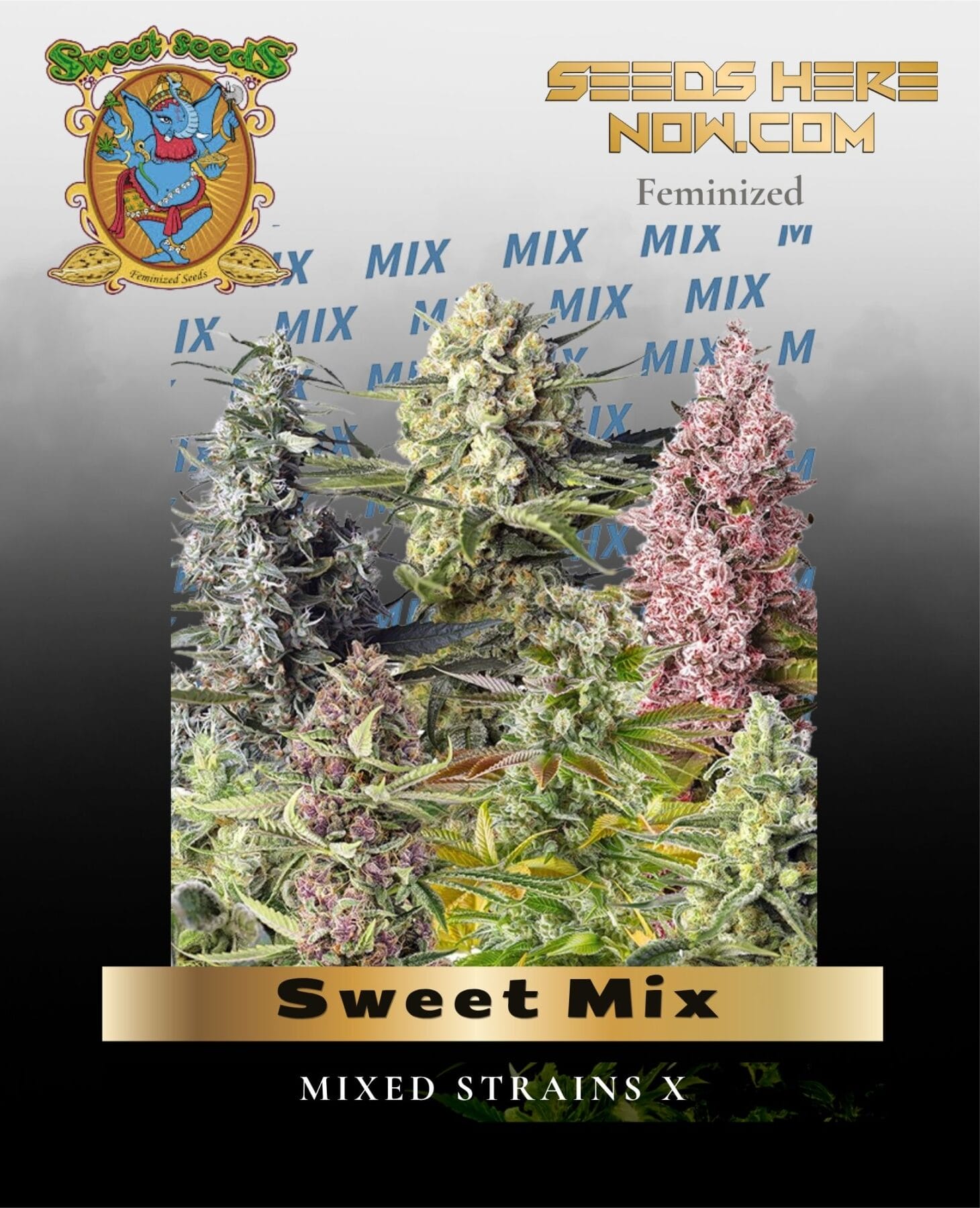 Sweet Mix (Feminized) - Sweet Seeds