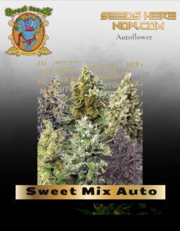 Sweet Mix Auto (Feminized) (space) Sweet Seeds