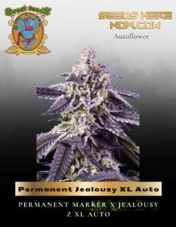 Permanent Jealousy XL Auto (Feminized) (space) Sweet Seeds