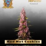 Red Hot Cookies (Feminized) - Sweet Seeds