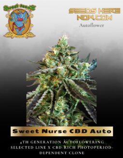 Sweet Nurse CBD Auto (Feminized) (space) Sweet Seeds