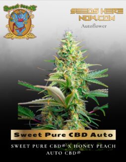 Sweet Pure CBD Auto (Feminized) (space) Sweet Seeds