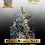 Sweet Skunk Auto (Feminized) - Sweet Seeds