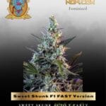 Sweet Skunk F1 FAST Version (Feminized) - Sweet Seeds