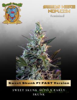 Sweet Skunk F1 FAST Version (Feminized) (space) Sweet Seeds