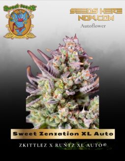 Sweet Zenzation XL Auto (Feminized) (space) Sweet Seeds