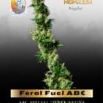 Feral Fuel ABC (Regular) - TerpyZ Mutant Genetics