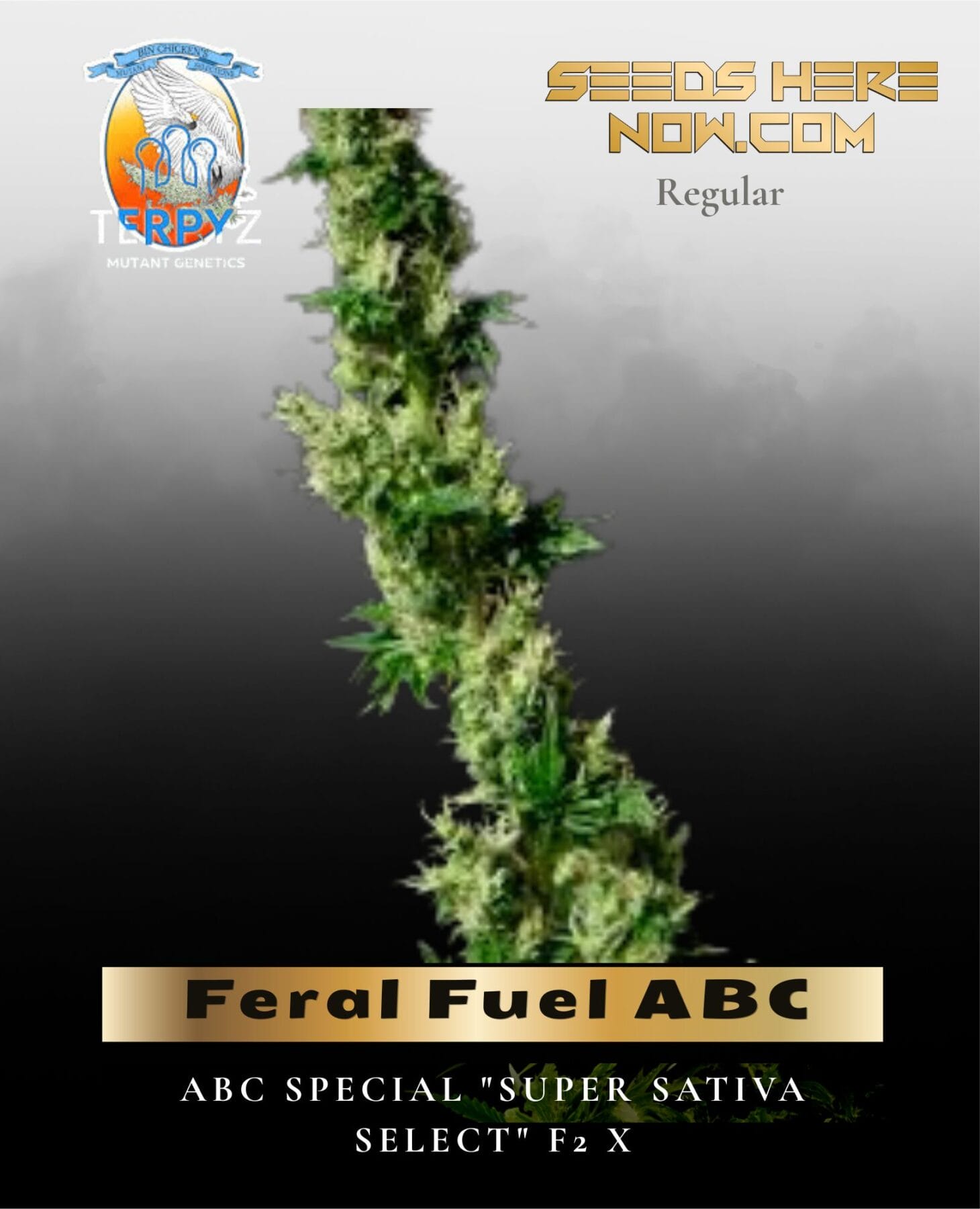 Feral Fuel ABC (Regular) - TerpyZ Mutant Genetics